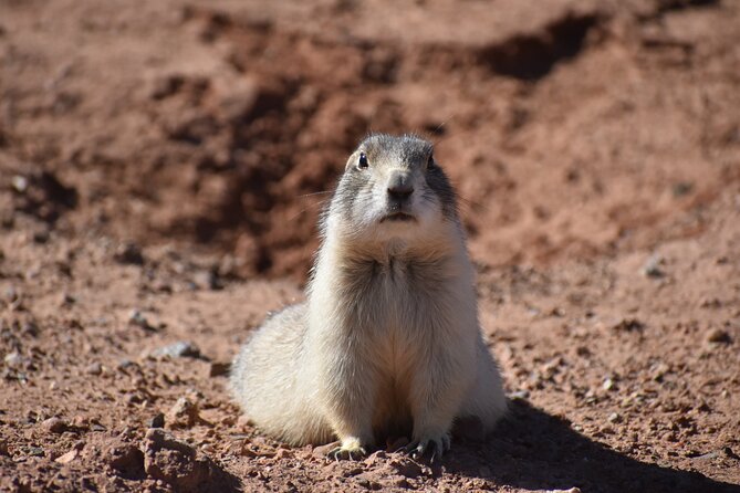 Moab Combo: Colorado River Rafting and Canyonlands 4X4 Tour - Guide Insights