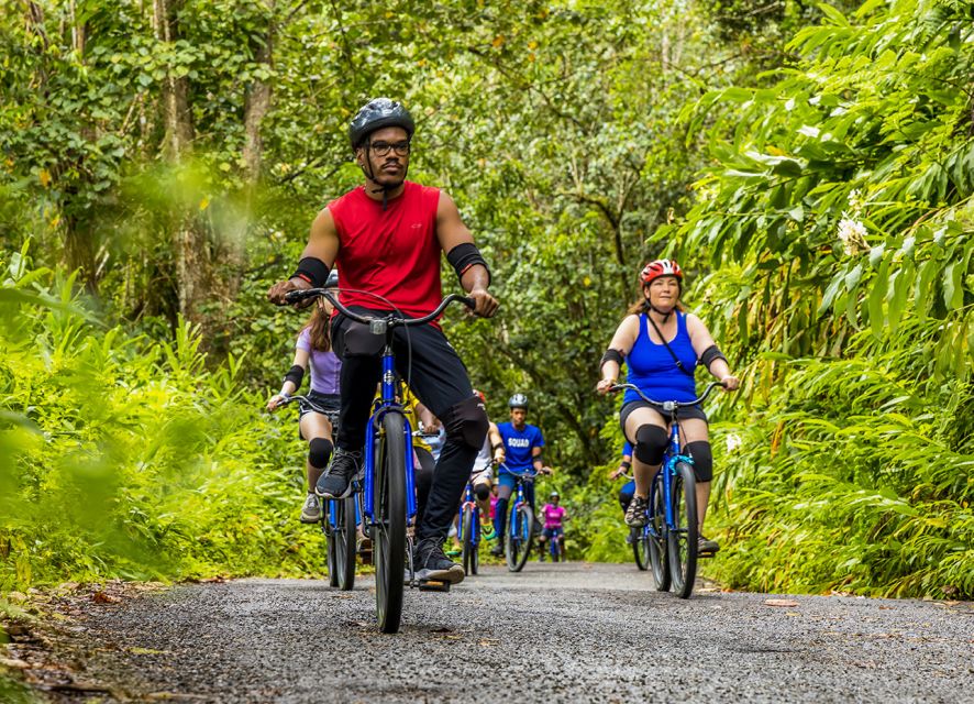 Montego Bay: Blue Mountains Bicycle Tour With Brunch & Lunch - Bike Trail Description