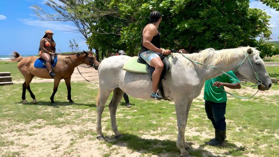 Montego Bay: Horseback Riding and Swimming Private Adventure - Connect With Nature
