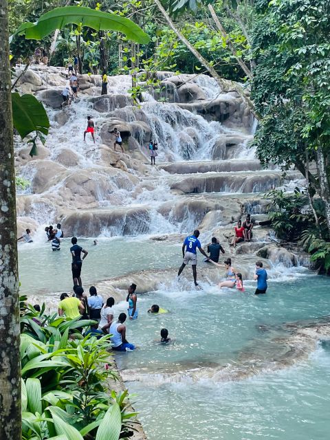 Montego Bay: Private Bob Marley and Dunn's River Falls Tour - Activity Details