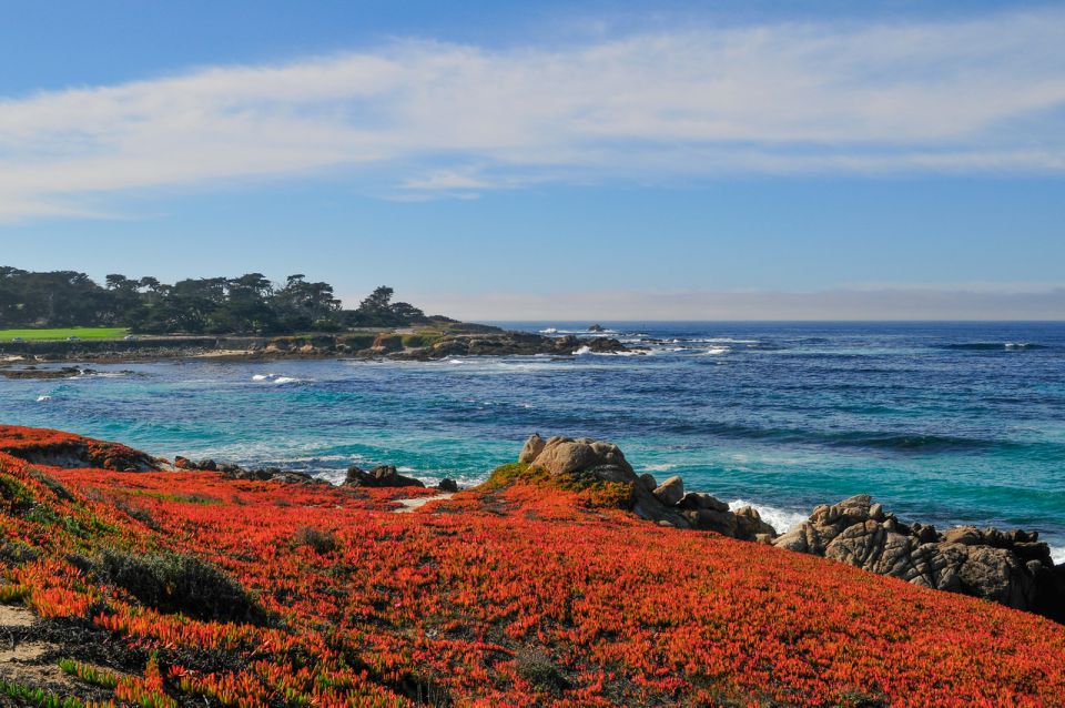 Monterey and Big Sur Discovery: Private Tour From San Jose - Experience Description and Highlights