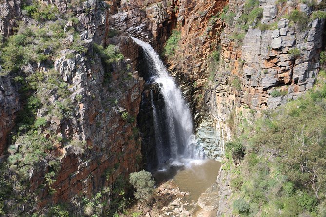 Morialta Wilderness and Wildlife Hike - Wildlife Spotting