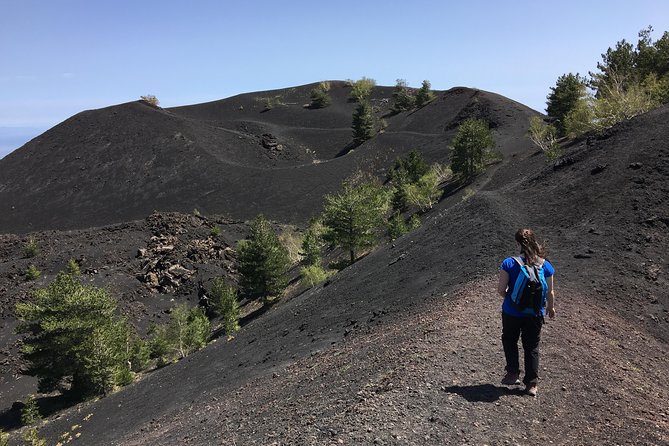 Mount Etna Jeep 4x4 Full Day Tour From Catania or Taormina - Reviews and Ratings