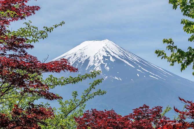 Mount Fuji Day Trip From Tokyo With a Local: Private & Personalized - Insider Tips and Recommendations