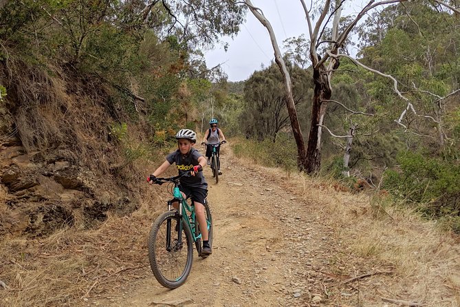 Mount Lofty Descent Bike Tour From Adelaide - Bike and Helmet Provided