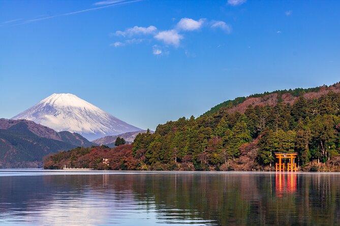 Mt. Fuji and Hakone Day Trip From Tokyo With Bullet Train Option - Transportation Options