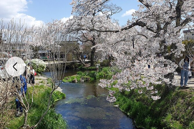 Mt. Fuji, Hakone Full-Day Private Tour With English Driver Guide - Common questions