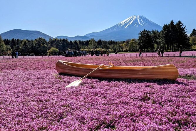 Mt Fuji, Hakone Private Tour by Car With Pickup - Cancellation Policy Information