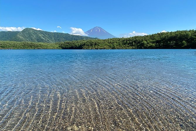 Mt Fuji Lakeshores Full-Day Bike Tour - Customer Reviews