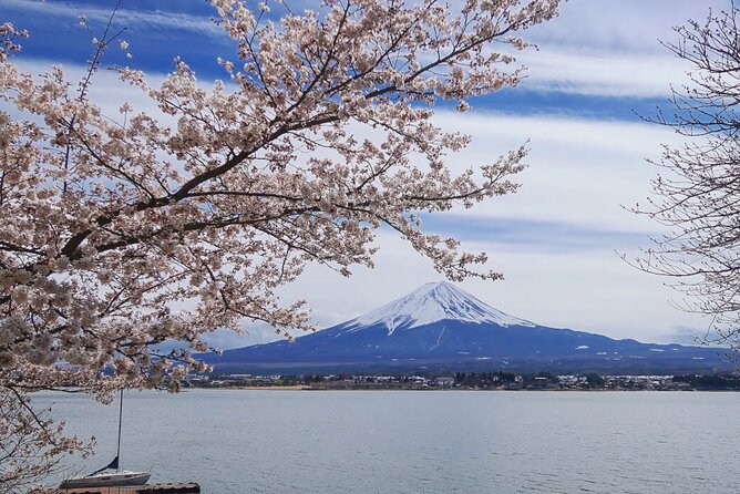 Mt. Fuji Private Tour With English Speaking Driver - Special Activities and Experiences Offered