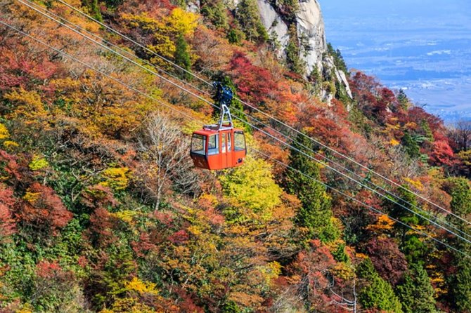 Mt. Gozaisho Ropeway,Nabana No Sato for Illumination and Begonia Garden! - Directions