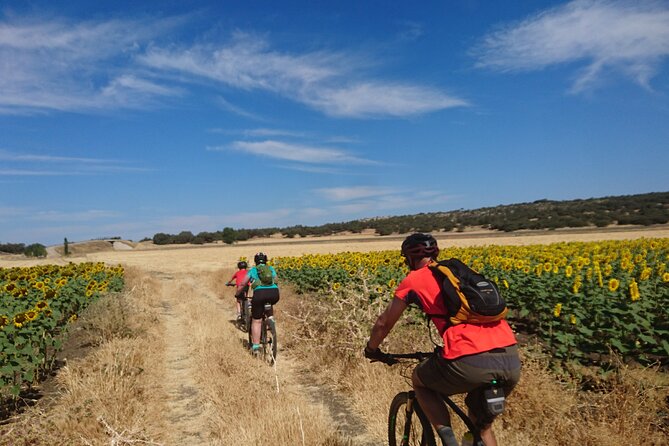 MTB (Self-Guided) Setenil De Las Bodegas - 30km Easy - Safety Tips