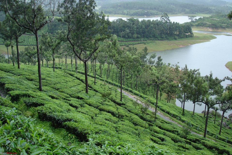 Munnar Private Day Trip - Highlights of the Trip