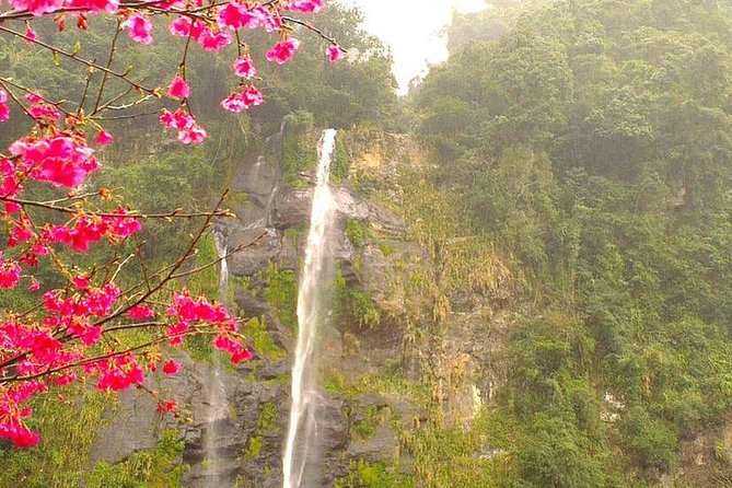 N109 Wulai Old Street Wulai Hot Spring Wulai Waterfall Bitan Scenic Area Day Tour (10h) - Cancellation Policy