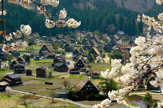 Nagoya to Takayama & Shirakawa World Heritage English Guide - Cultural Experiences in Takayama