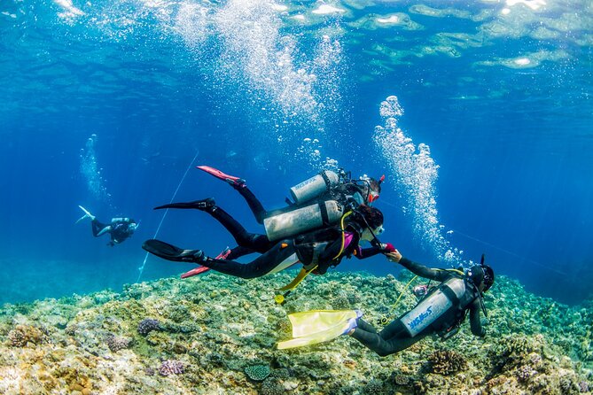 Naha: Full-Day Introductory Diving & Snorkeling in the Kerama Islands, Okinawa - What to Bring