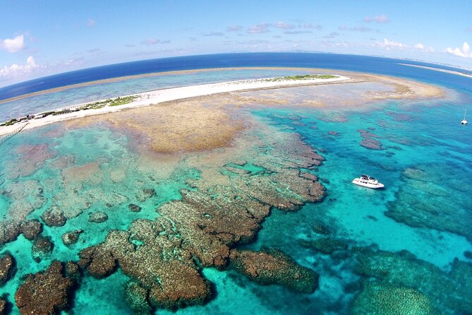 Naha: Full-Day Snorkeling Experience in the Kerama Islands, Okinawa - Customer Reviews and Value for Money