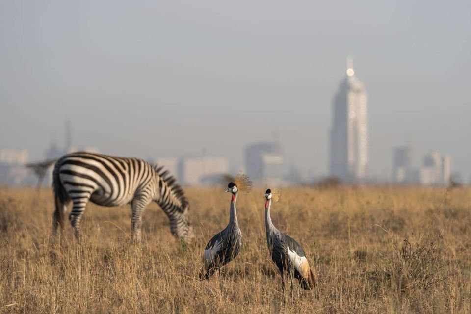 Nairobi National Park, Baby Elephant & Giraffe Center Tour - Itinerary