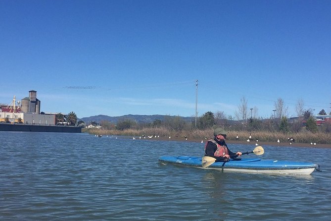 Napa Valley - River History Kayak Tour - Single Kayaks - Cancellation Policy Details