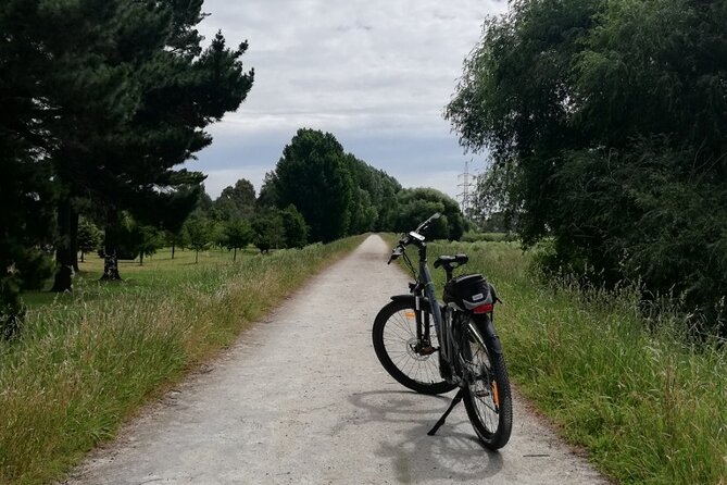 Napier Hybrid Bike Rental - Tips for an Enjoyable Cycling Experience