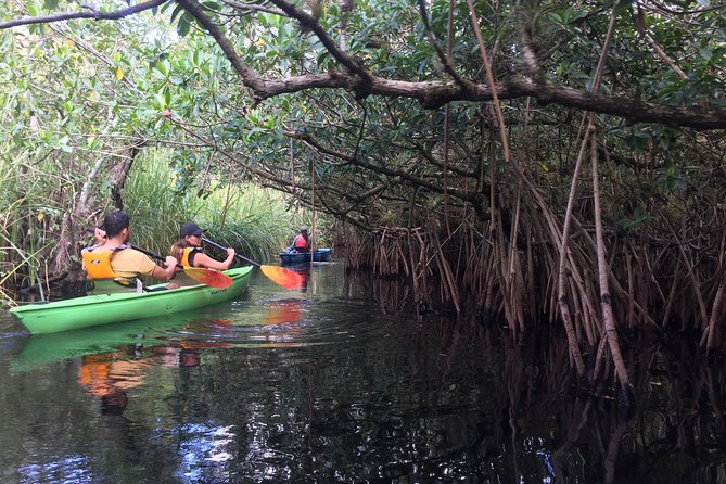 Naples Small-Group Half-Day Everglades Kayak Tour (Mar ) - Future Contact and Engagement