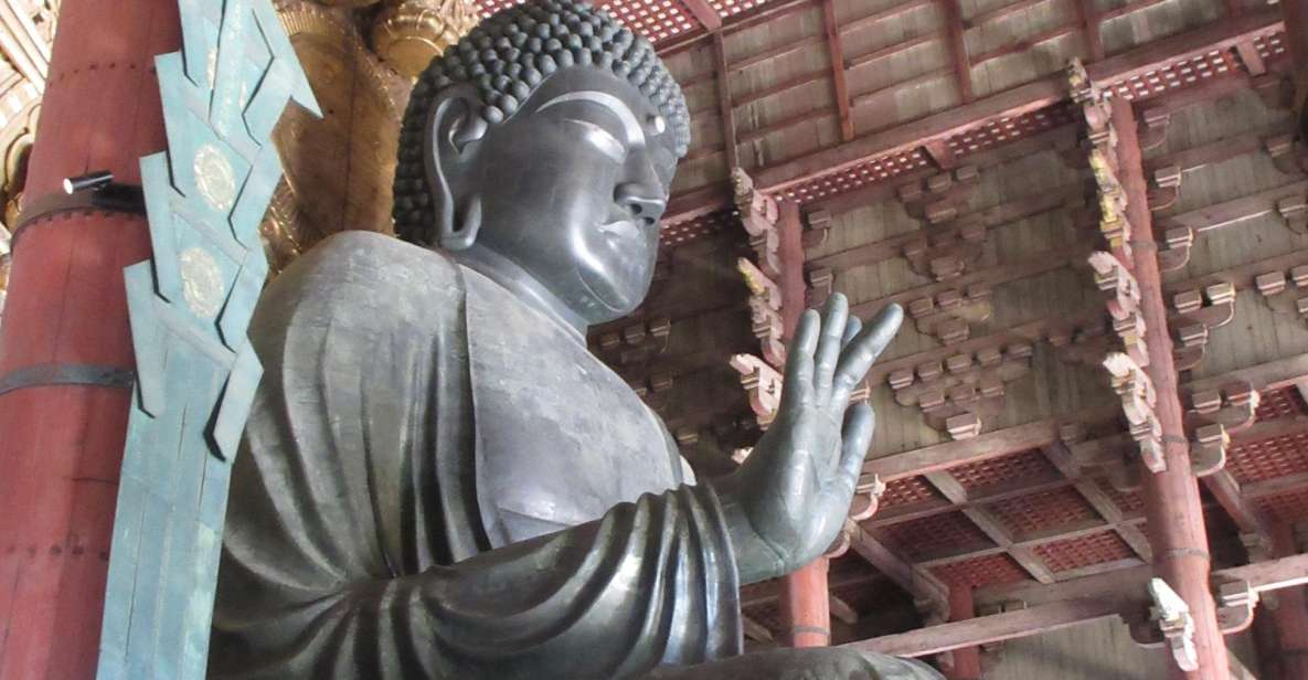 Nara: Giant Buddha, Free Deer in the Park (Italian Guide) - Transportation Instructions