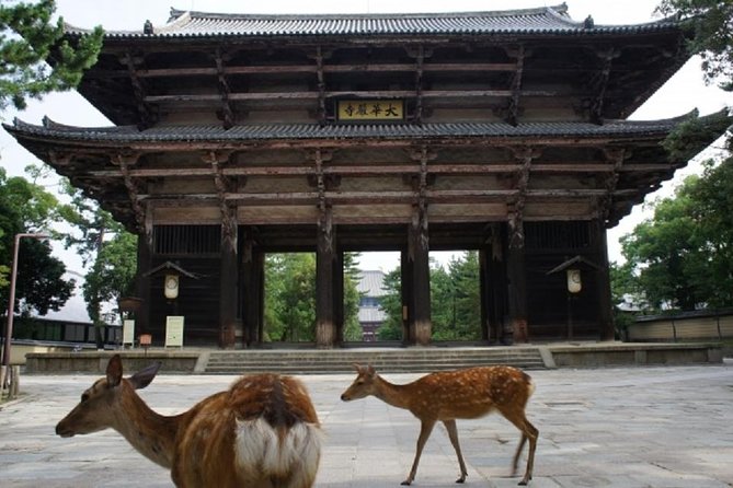 Nara Private Tour by Public Transportation From Kyoto - Departure and Return Times