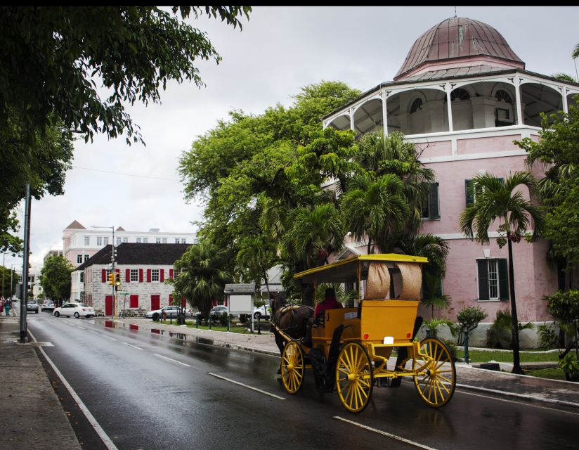 Nassau: Historic Downtown Nassau Bike Tour - Customer Reviews