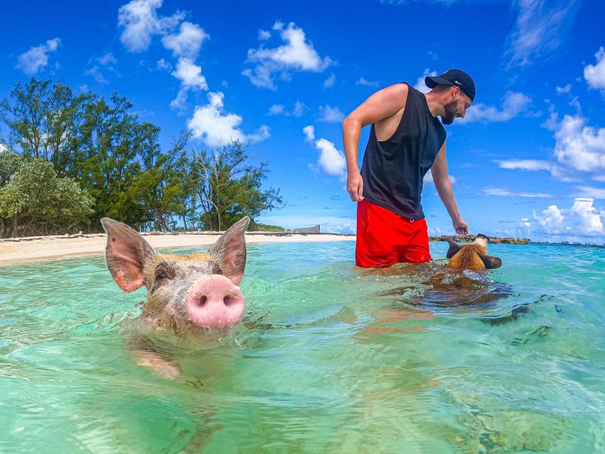 Nassau: Sun Cay and Swimming Pigs Boat Trip With Lunch - Feedback Summary
