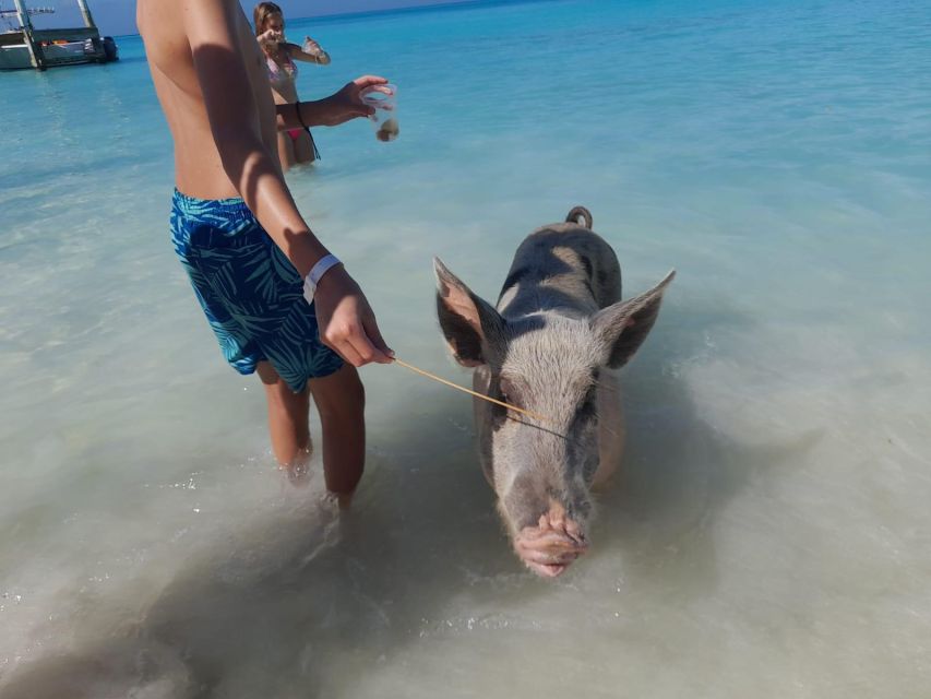 Nassau: Swim With Sharks, Swimming Pigs Tour - Additional Water Activities