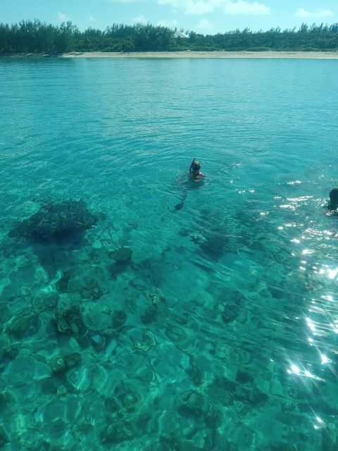 Nassau:Swimming Pigs, Turtles, Reef Snorkeling by Speedboat - Tour Options and Pricing