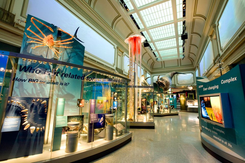 National Museum of Natural History Guided Tour - Visitor Review and Ratings