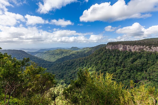 Natural Bridge & Springbrook Waterfalls Tour - Local Operator Contact Information