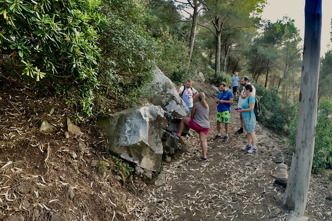 Naturalistic Excursion to Ustica - Navigating Viators Help Center