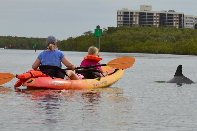 Nauti Exposures - Guided Kayak Tour Through the Mangroves - Directions for Booking