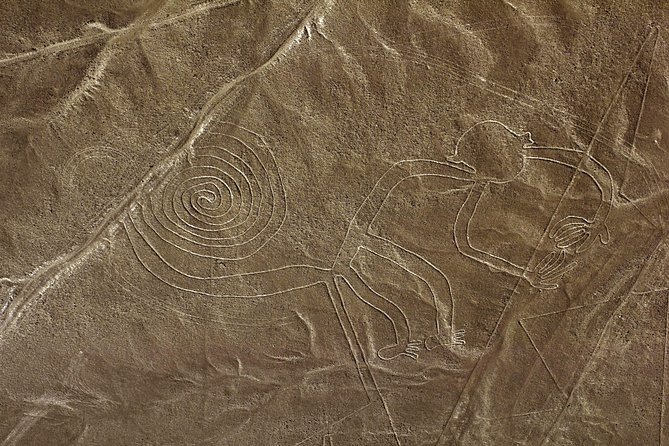 Nazca Lines & Ballestas Islands Private Tour From Lima - Itinerary Details