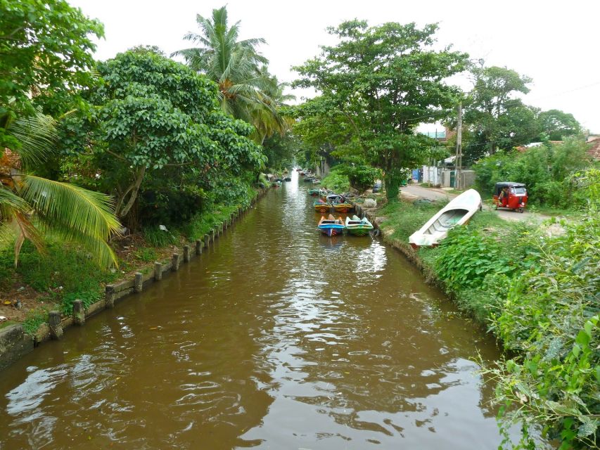 Negombo: Dutch Canal, Negombo Lagoon, Muthrajawela Boat Tour - Last Words