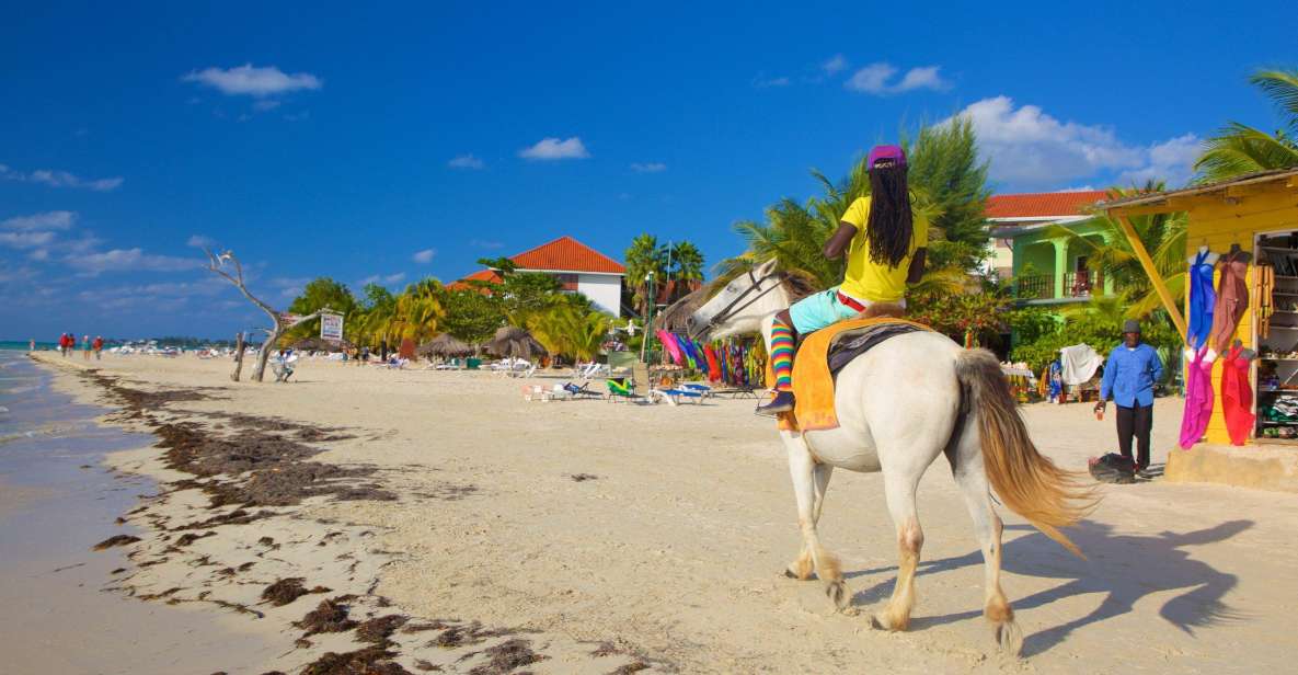 Negril: Private Customizable Beach and City Highlights Tour - Booking Information