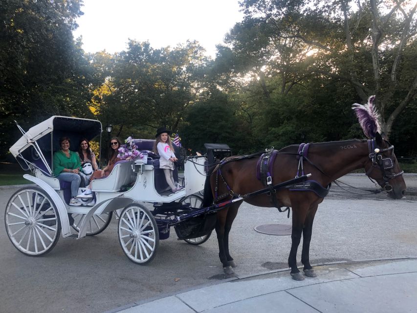 New York: Carriage Ride in Central Park - Customer Feedback