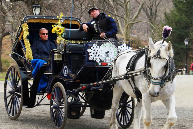 New York City: Central Park Private Horse-and-Carriage Ride (Mar ) - Pricing and Guarantee