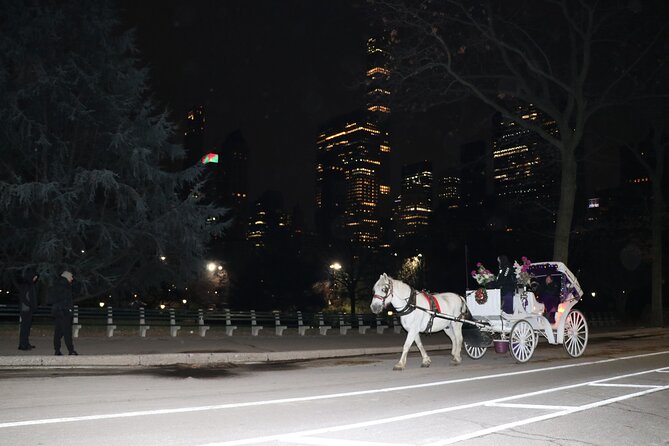 New York City: Central Park Private Horse-and-Carriage Tour (Mar ) - Viator Information