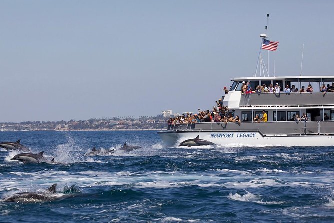 Newport Beach Whale and Dolphin Watching Cruise - Directions to the Meeting Point
