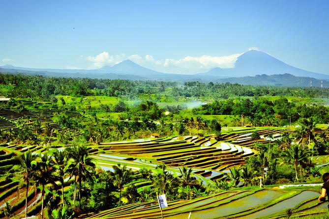 North and West Bali Temples and Farms Private Tour With Lunch  - Seminyak - Booking Assistance