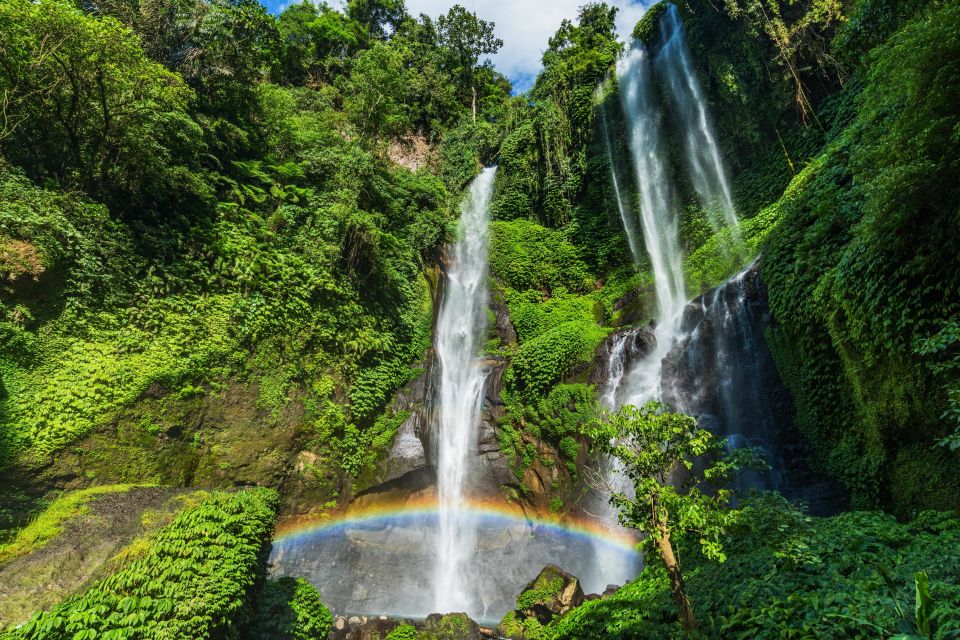 North Bali: Sekumpul Waterfalls and Ulun Danu Temple Tour - Customer Reviews