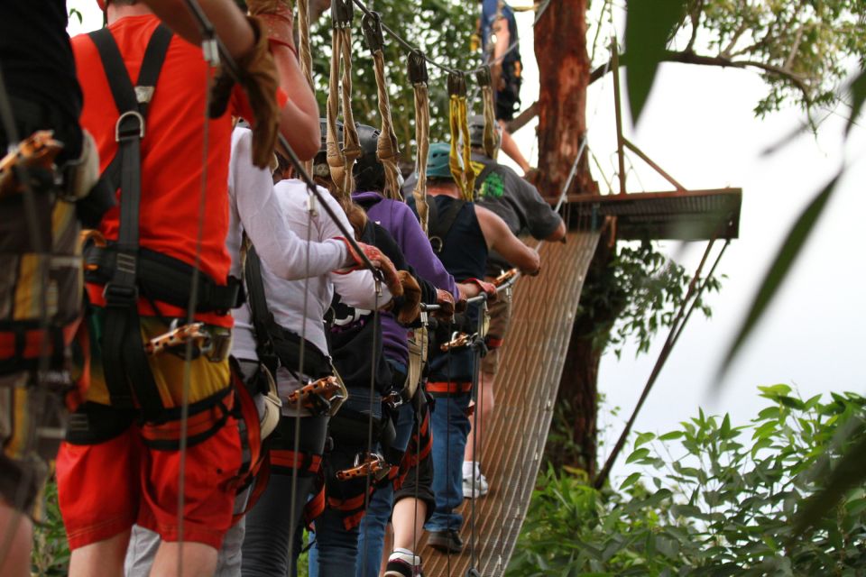 North Maui: 7 Line Zipline Adventure With Ocean Views - Customer Reviews