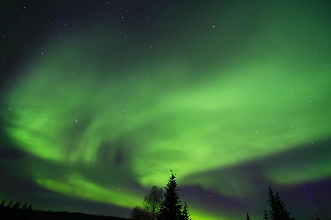 Northern Lights and Arctic Circle Trip From Fairbanks - Winter Travel Considerations