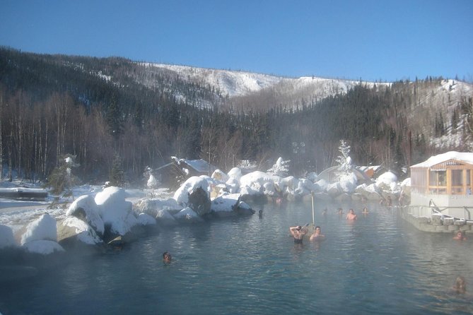 Northern Lights and Chena Hot Springs Tour From Fairbanks - Traveler Recommendations
