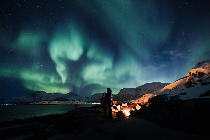 Northern Lights Minibus Chase Lofoten - Reviews and Ratings