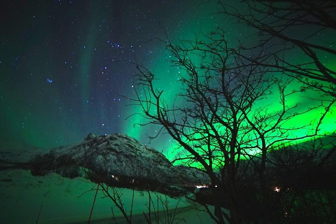 Northern Lights - Teslax Ecofriendly Car - Pricing and Booking Information