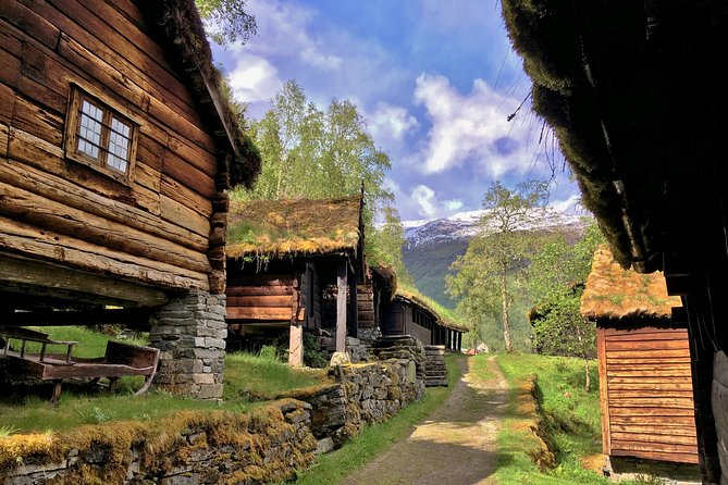 Norway: Voss and Gundvagen Private Tour  - Bergen - Additional Traveler Information